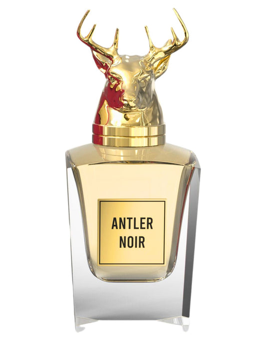ANTLER NOIR Perfume for Men 100 ML