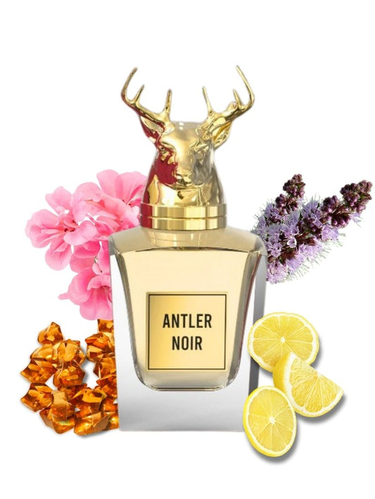 ANTLER NOIR Perfume for Men 100 ML